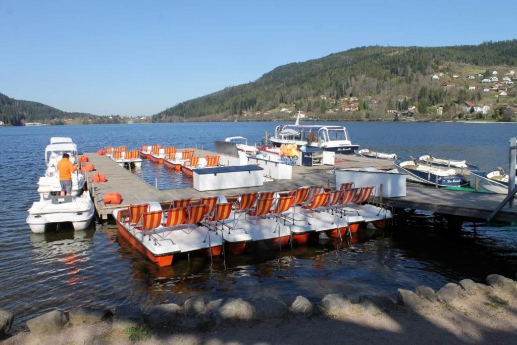 Beau Duplex A Proximite Du Lac De Gerardmer Avec Place De Parking エクステリア 写真